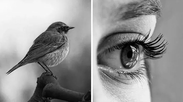 这脑洞真是大开呀，厉害了！随便一叠，LOGO就出来了！