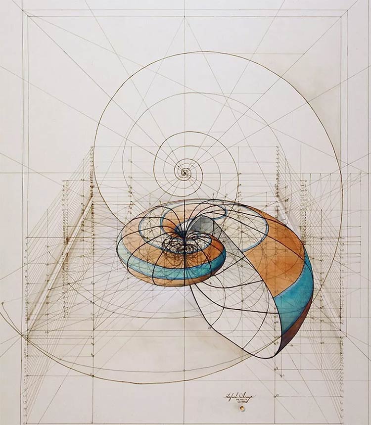 数学之美丨大自然中那些“对称”物象